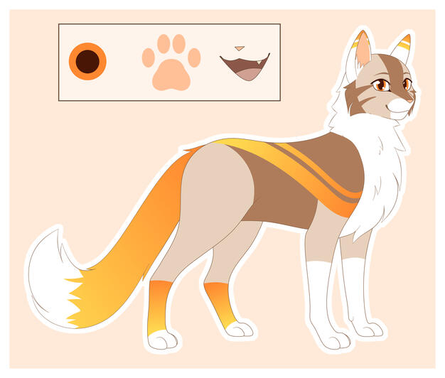 amberdawn reference sheet